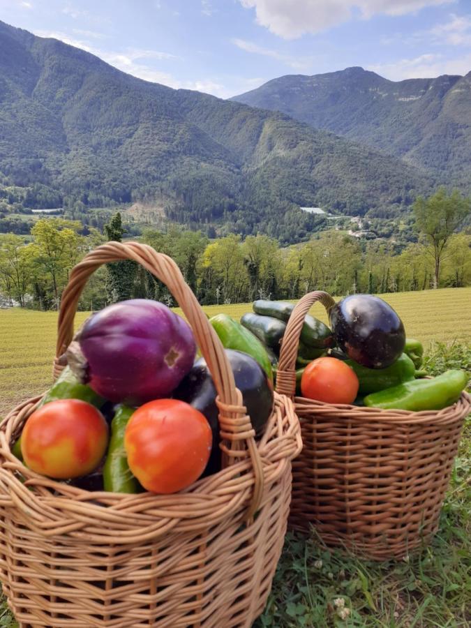 Coste Del Gaggio - Country House B&B - Garda Trentino Drena Eksteriør billede