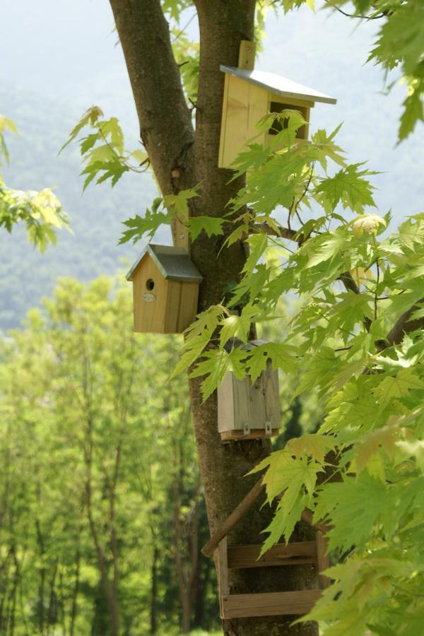 Coste Del Gaggio - Country House B&B - Garda Trentino Drena Eksteriør billede